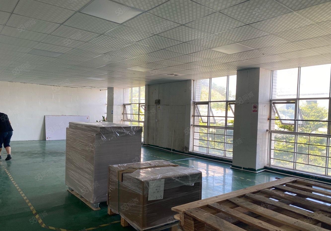 大浪小面积厂房，办公室320平出租，带精装修，拎包入驻