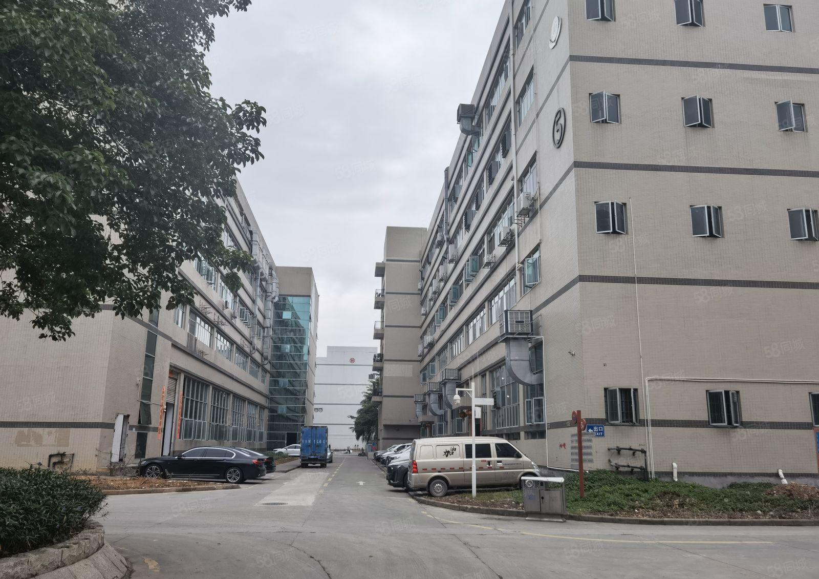 龙华大浪工业园独栋厂房5500平方出租500平方起分租