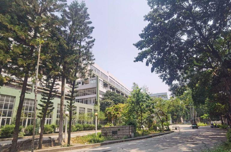 龙华科技园300~5000平定制装修，打造园林景观科技聚集地