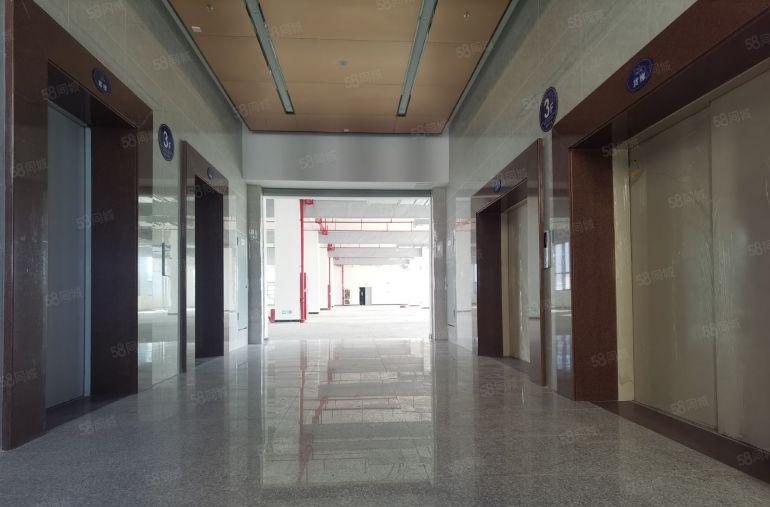 深圳市龙华区全新园区260000平方标准厂房出租大小可分租。