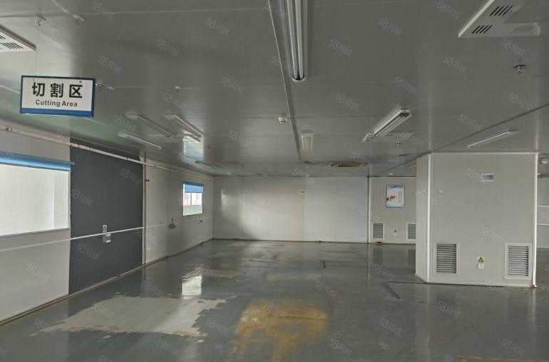 观澜樟阁两条国道之间 无尘车间  有超大空地