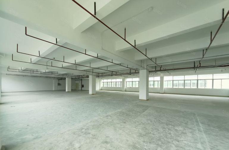 龙华地铁口1000平红本厂房可做生产加工仓库 空地超大