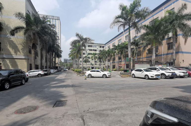 大浪商业中心园区红本厂房700平低价出租