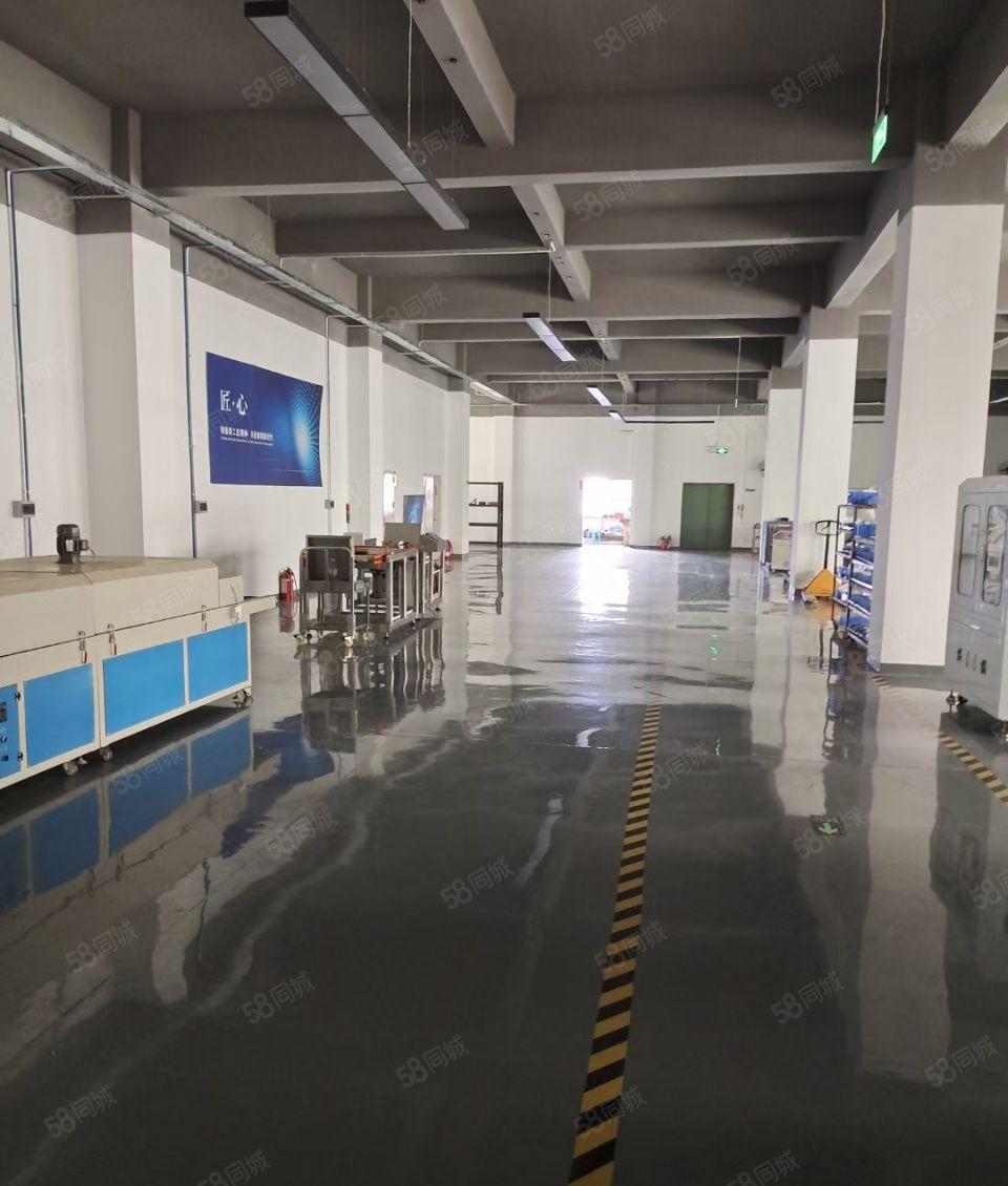 龙华大浪布龙路边石观工业区精装修一楼厂房出租1600平可分租