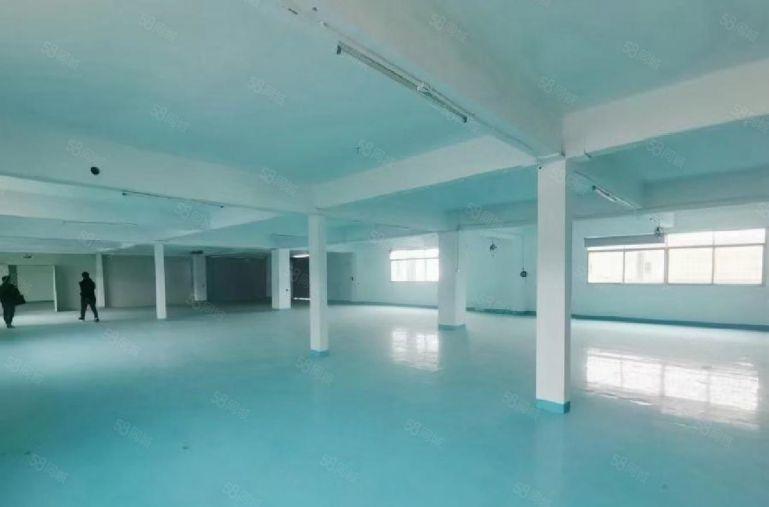 龙华大浪1500平精装修 楼上办公研发电子厂房停车方便好招工