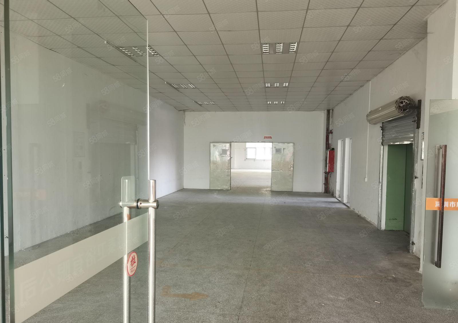 龙华观澜新田原房东楼上新出950平方豪华精装修房厂房仓库出租