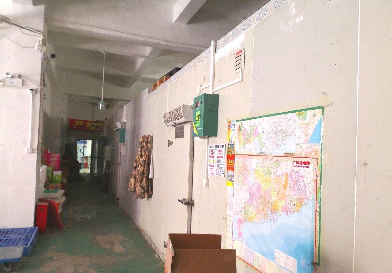 龙华汽车站附近新出一楼标准厂房1300平出租