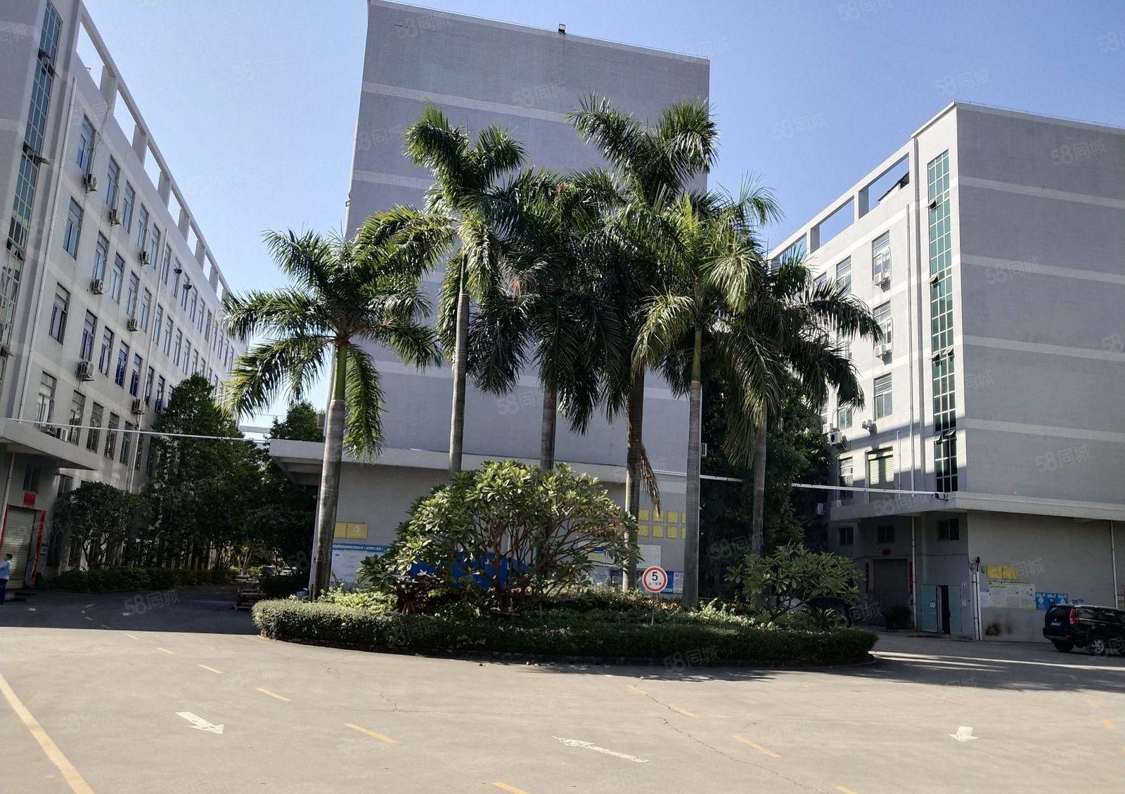 100平起分租观澜新田原房东独门独院三楼1000仓库厂房出租