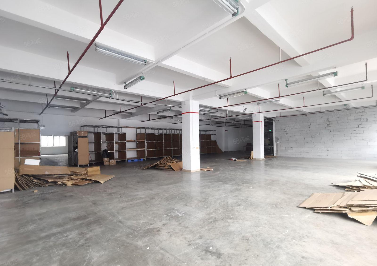 龙华大浪大型工业区高速出口原房东整层厂房出租，配套齐全好招工