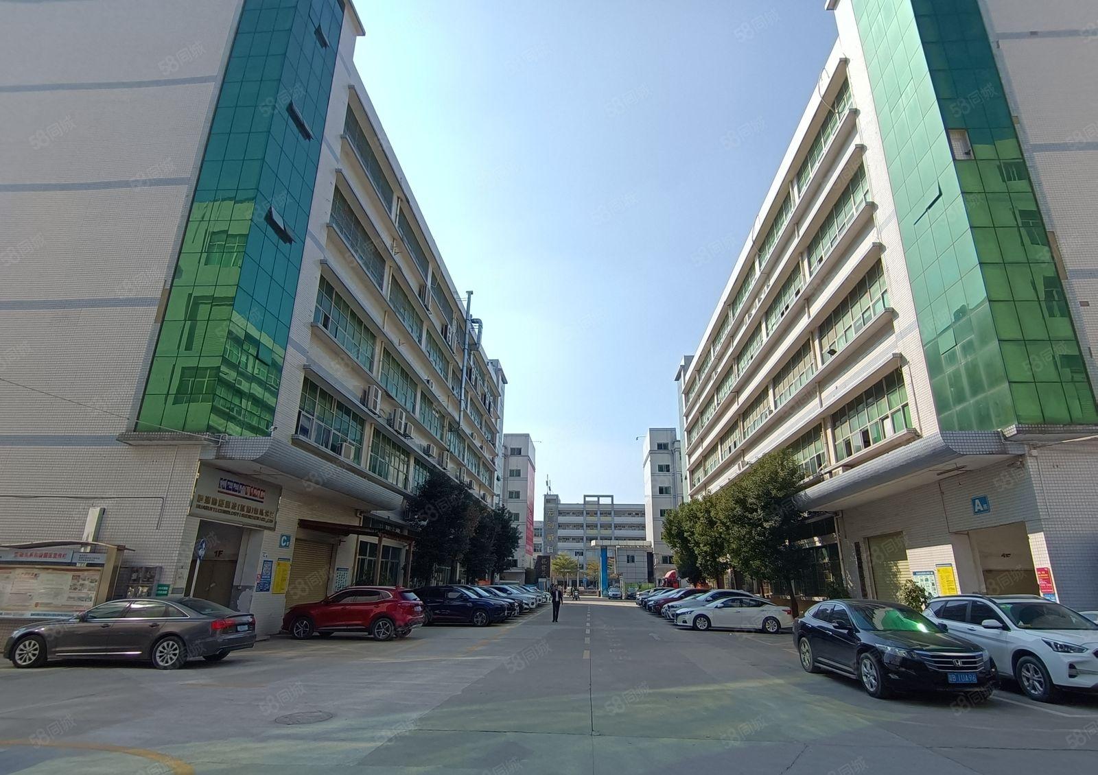 观澜樟坑径500平1000平2000平精装修厂房仓库出租分租