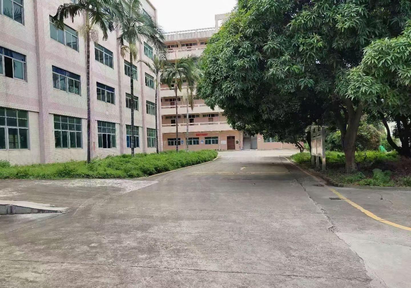 茜坑地铁口新出一楼1600平方招租