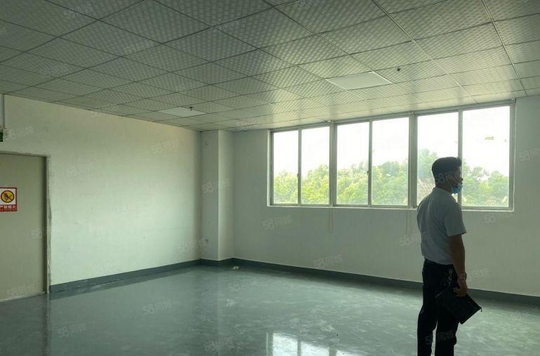 观澜福民小面积厂房200平320平420平520平仓库精装修