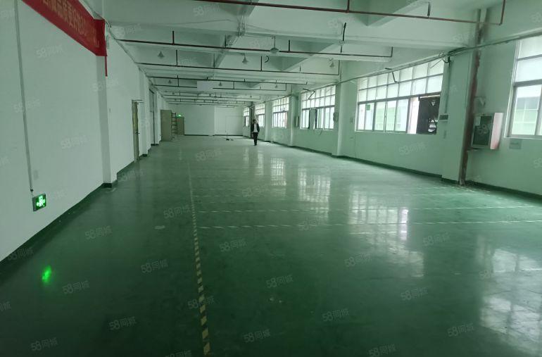 龙华大浪商业中心附近独门独院精装修厂房3000平出租超大空地
