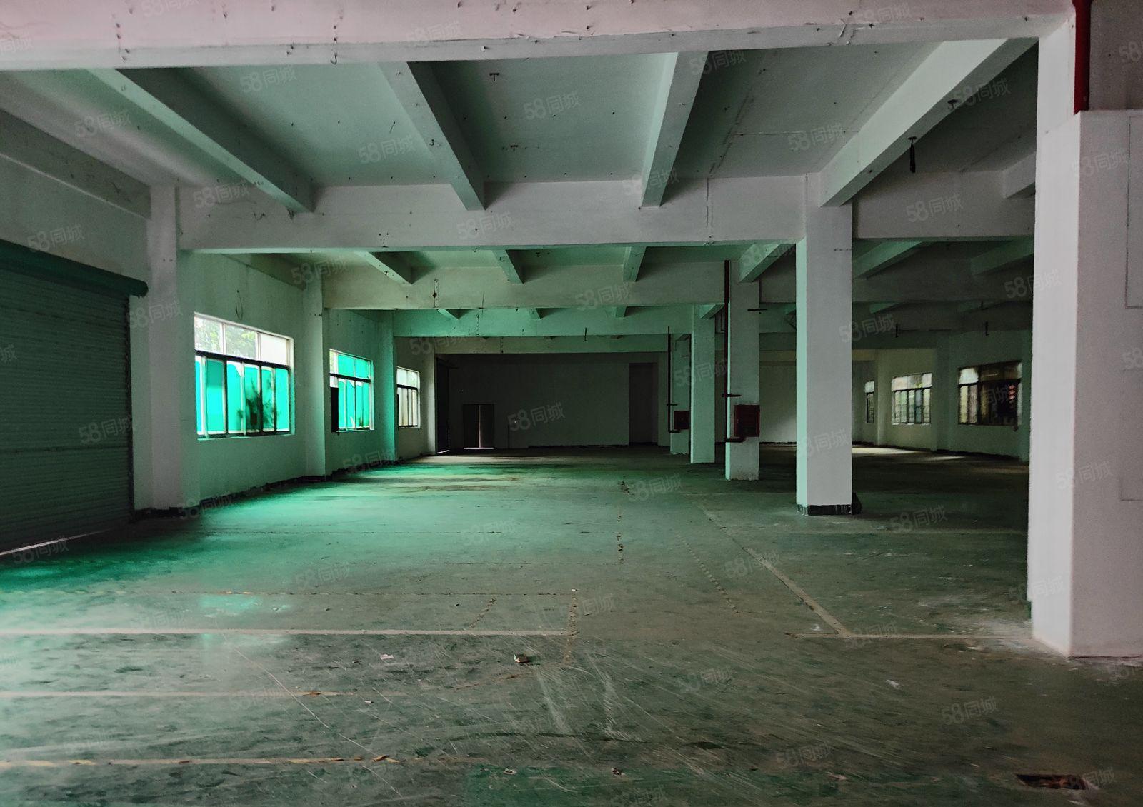 观澜福民近新天虹地铁口附标准厂房1楼整层1500平特价出租