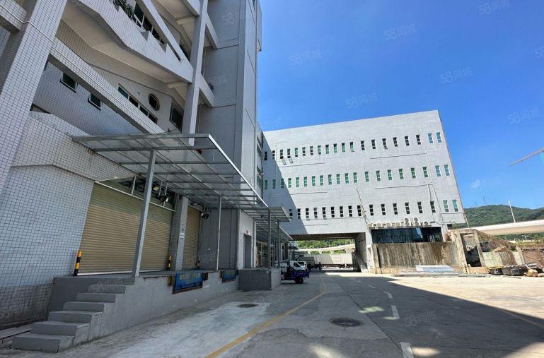 大浪商业中心旁原房东无尘车间厂房出租2000平无转让费水电齐