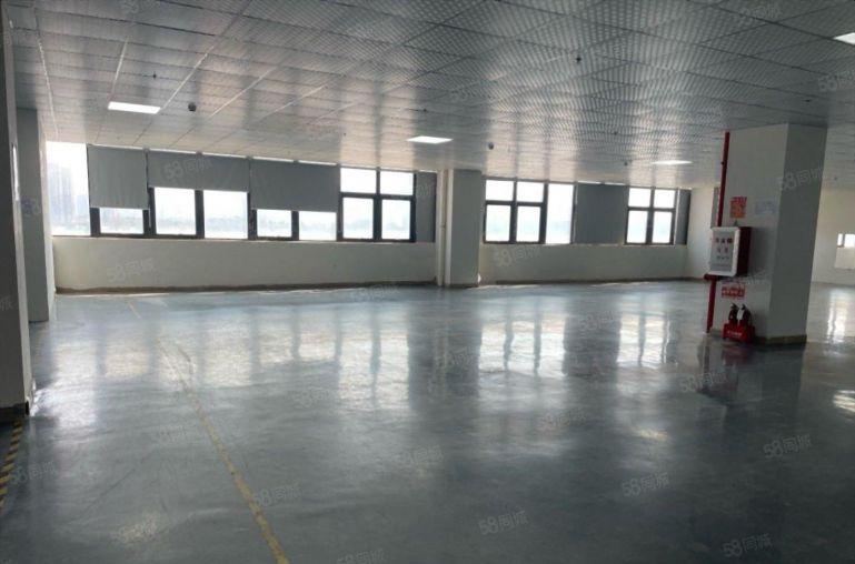龙华新出红本现成装修科技园楼上1000平办公室仓库厂房出租