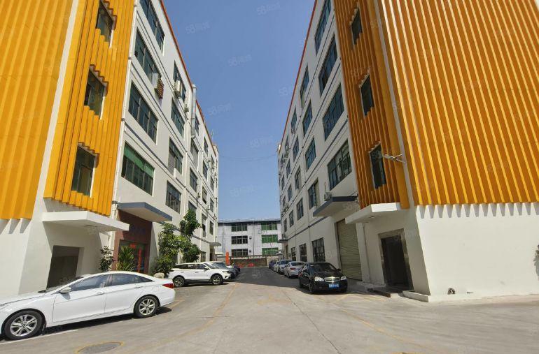 龙华大浪阳台山东地铁口300平小面积精装修可办公厂房低价出租