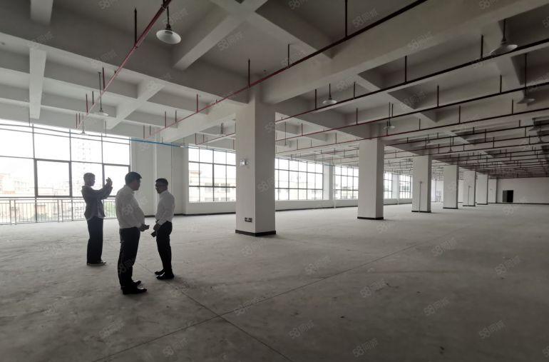 大浪创客电商园独院厂房物流仓库2000平25元平招租可分租