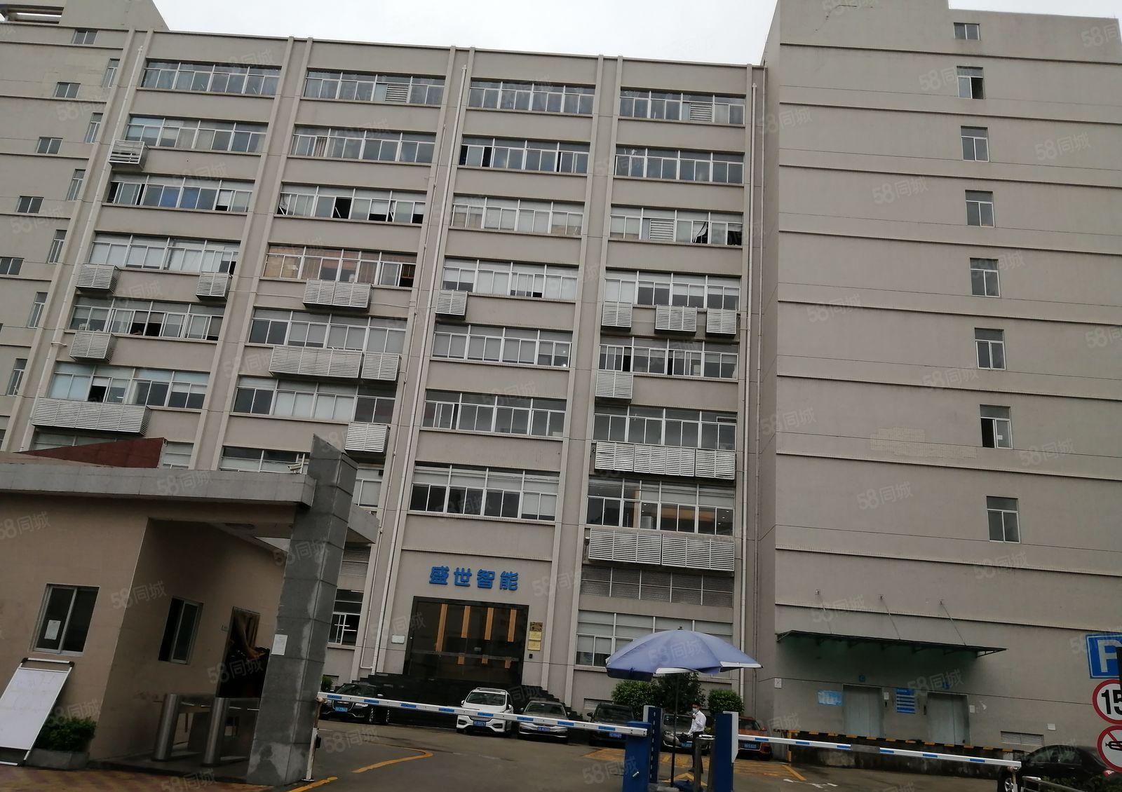 高新园区带红本二楼4800平带喷淋卸货平台带装修