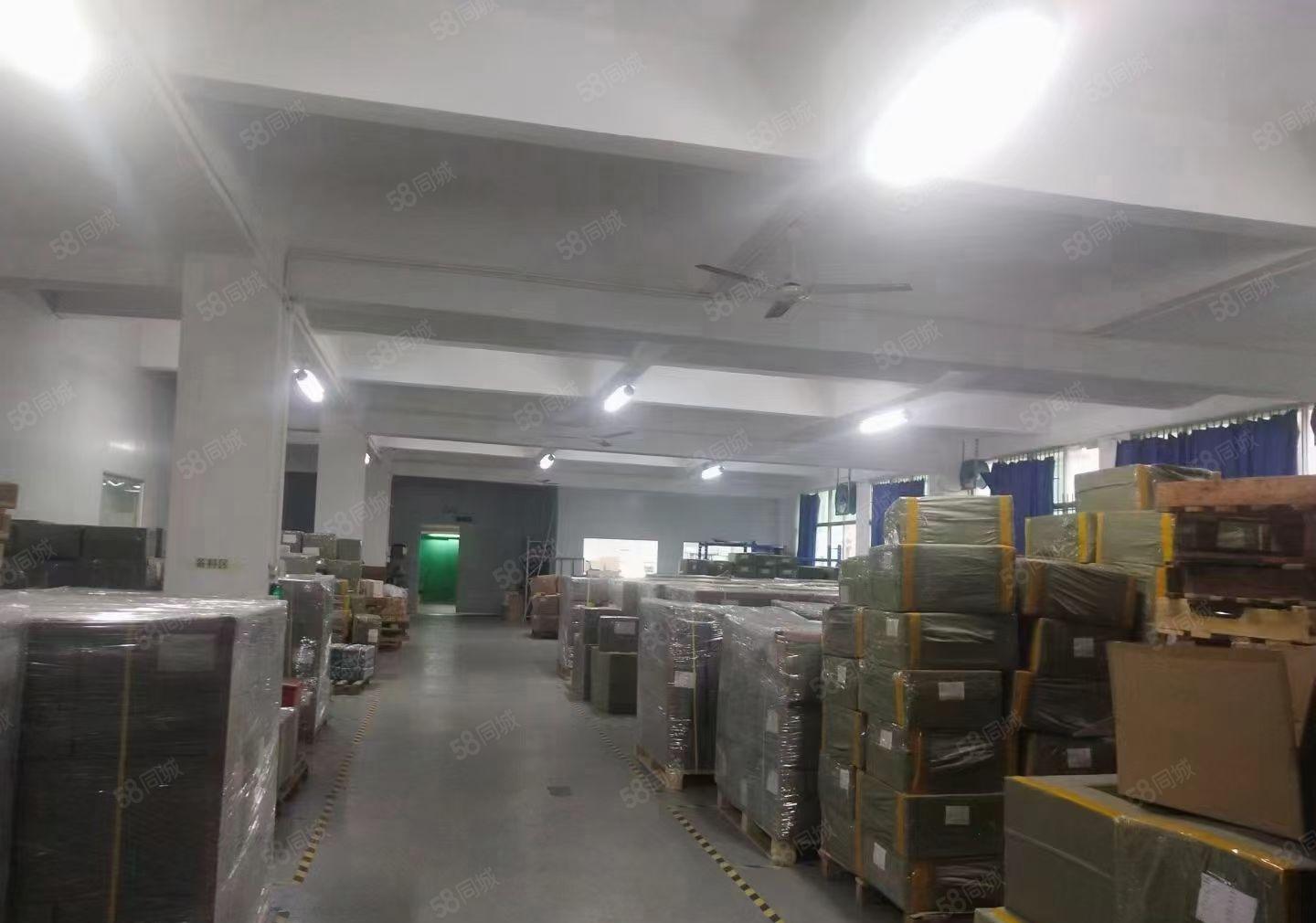 新出观澜新田工业区二楼620平方精装修