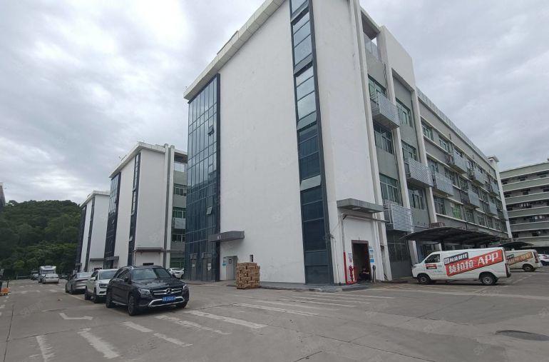 原房东招租 龙华红本大工业园一楼二楼各1500平厂房仓库出租