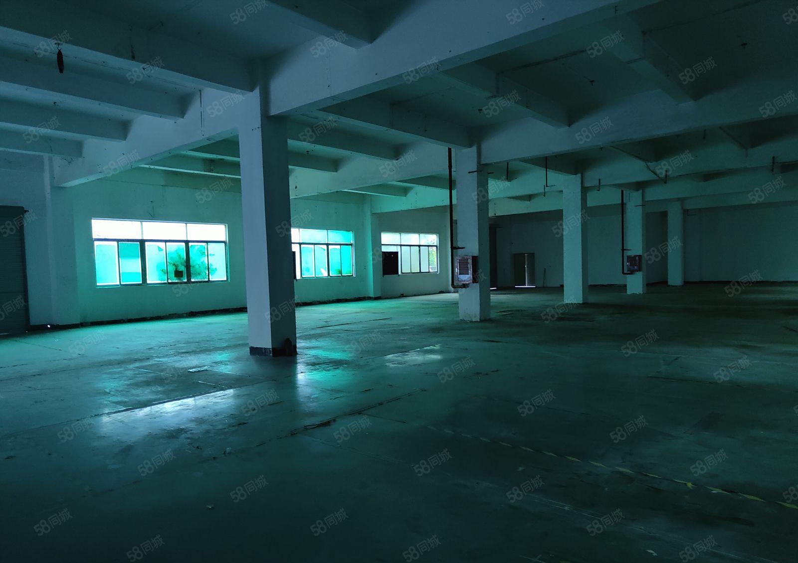 观澜福民近新天虹地铁口附标准厂房1楼整层1500平特价出租