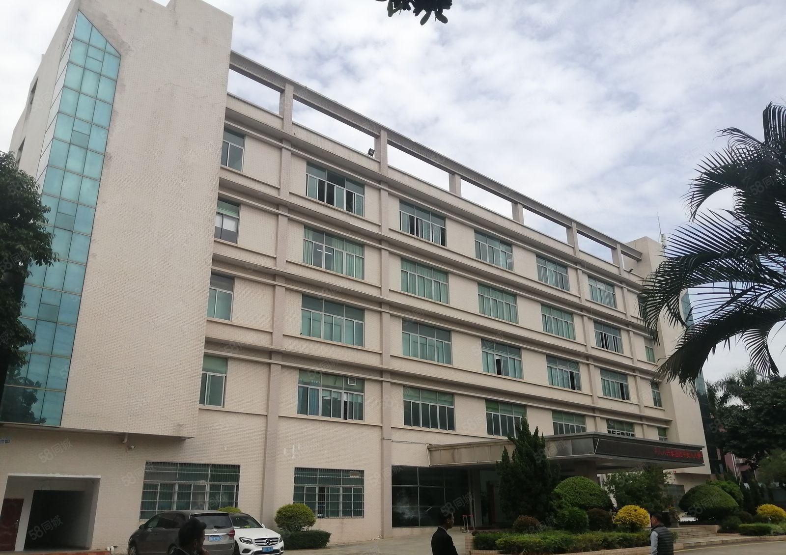 2000平观澜黎光工业区豪华装修花园式厂房两部电梯大气前台