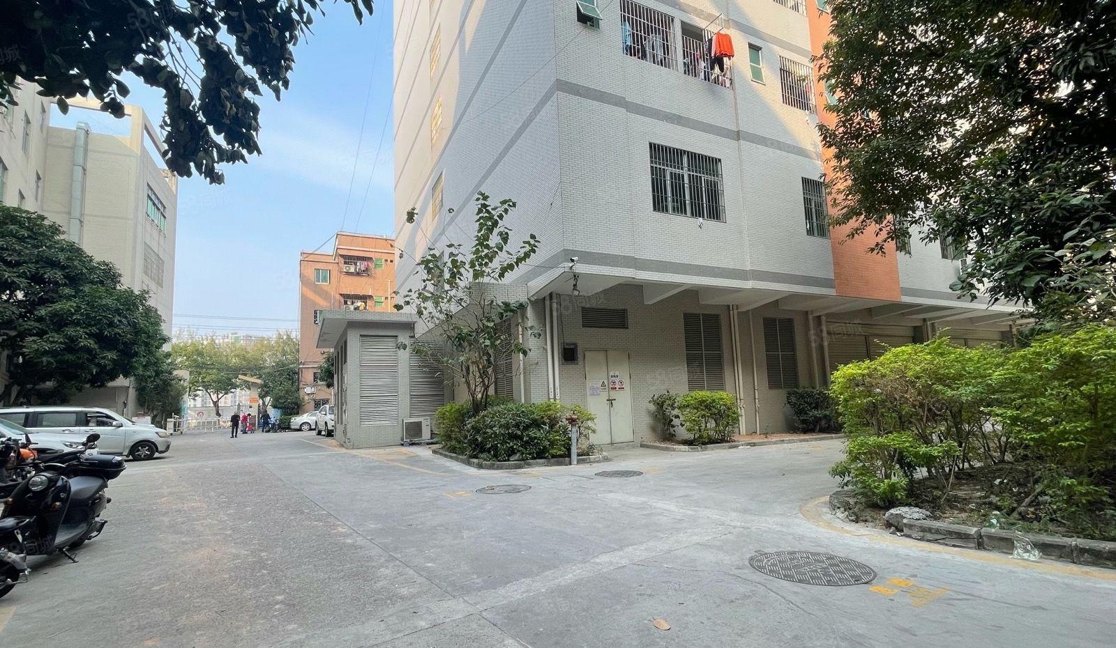 龙华观澜1万平方独门独院原房东8成使用率仓库厂房出租