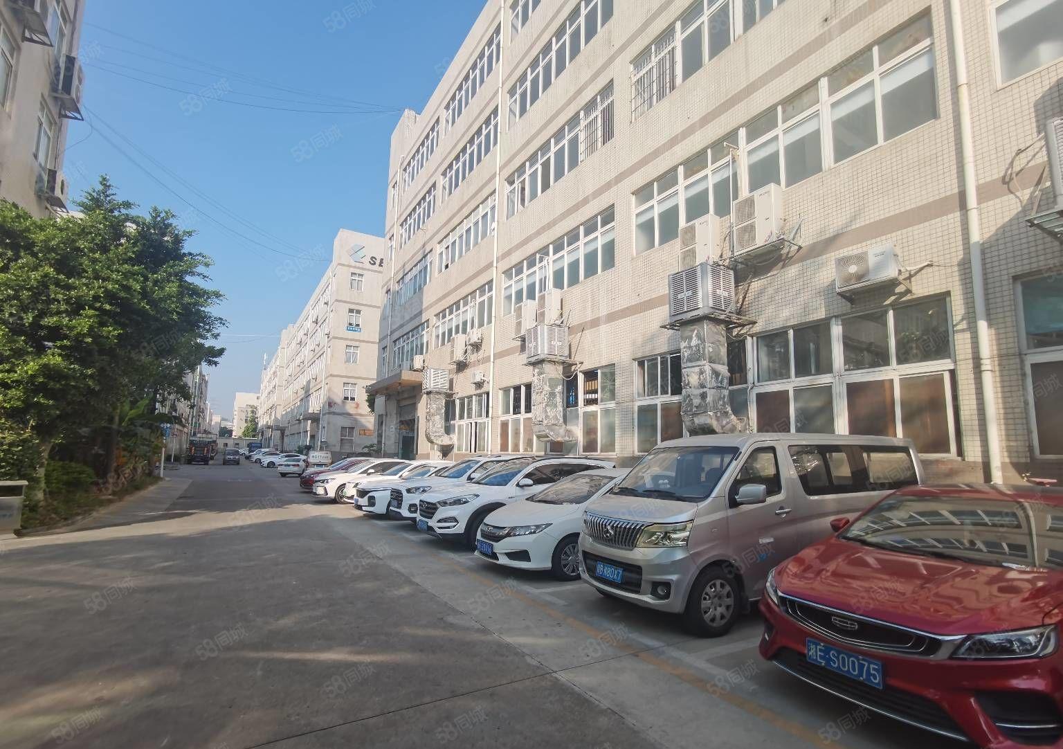 出租龙华观澜2000至8000平方独门独院厂房仓库出租一楼