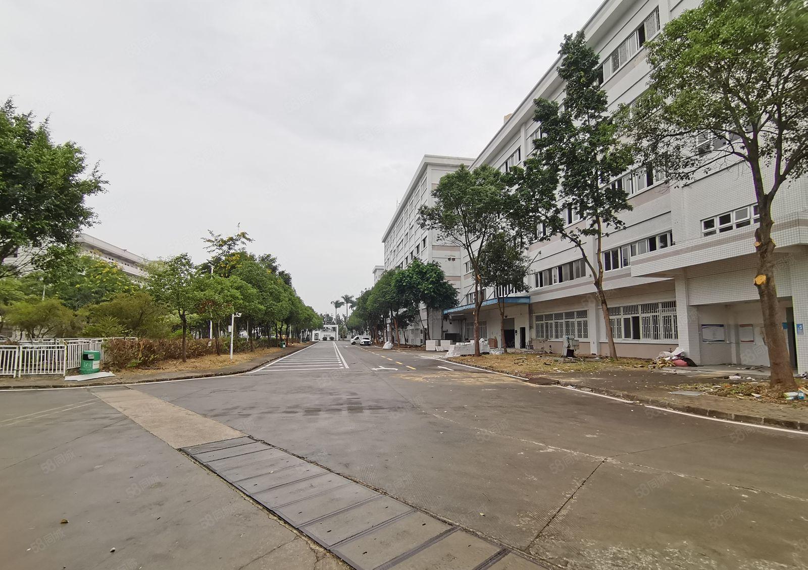 500平起租！龙华观澜独门独院厂房仓库1600平出租！