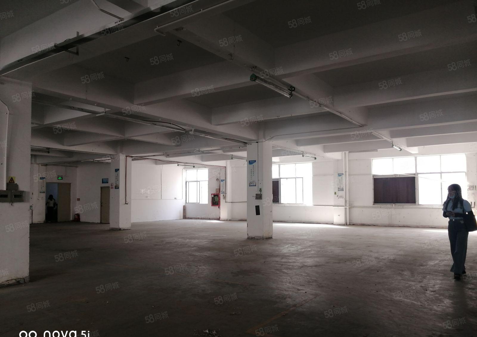 （原房东红本）龙华清湖宝能科技园独栋13500平标准厂房出租