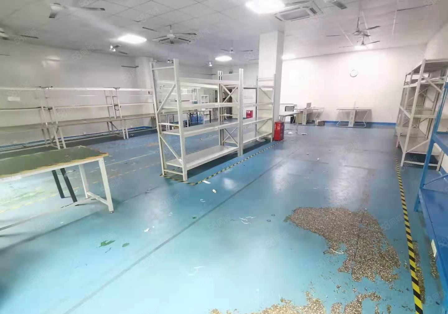 龙华大浪新出楼上1200平精装厂房出租