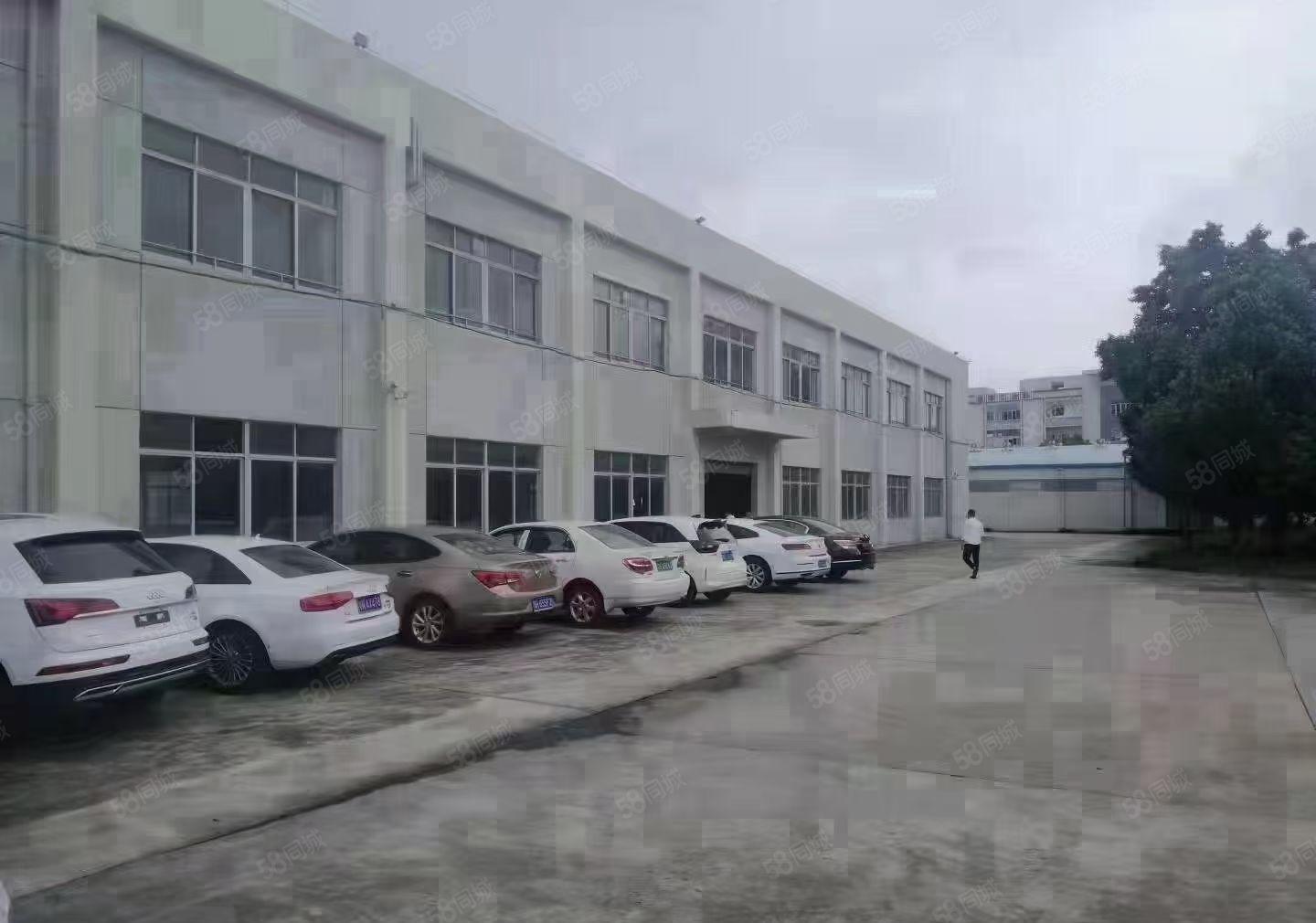 深圳观澜同富裕工业区新出12楼4000平方红本厂房低价出租