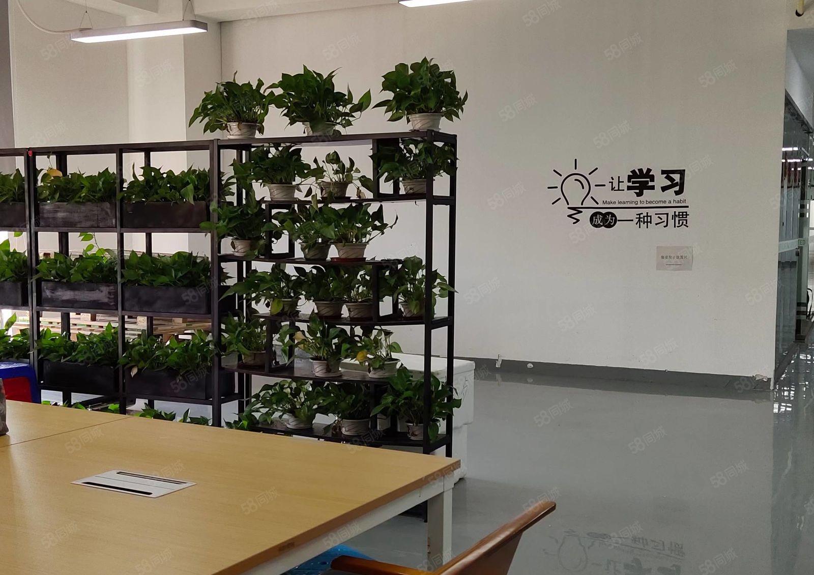 龙华大浪一楼400平米精装修厂房出租，带仓库出租全新地坪