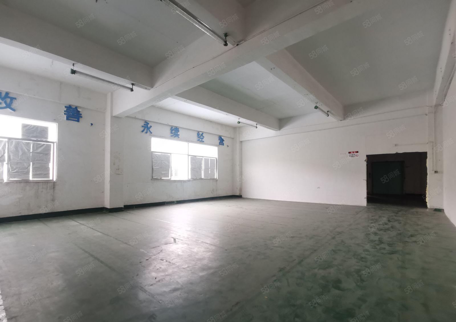 观澜环观南路边樟坑径大型园区楼上带简单装修厂房出租1266平