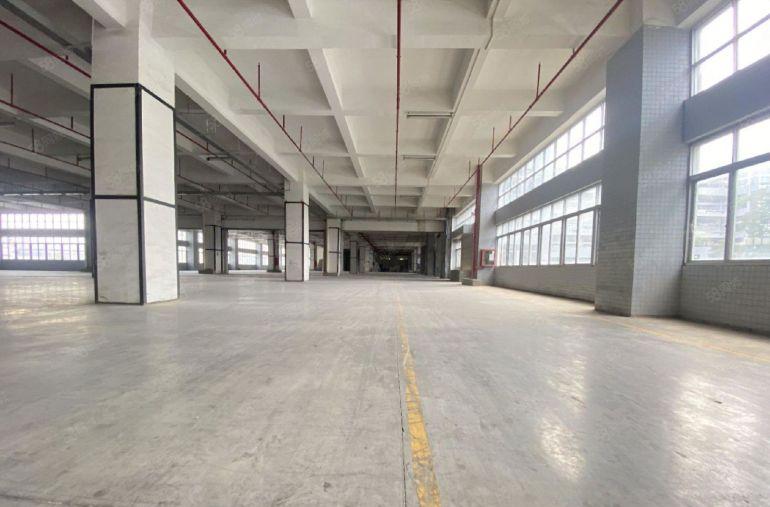 龙华大浪低价仓库生产研发办公厂房出租200平起分租精装修