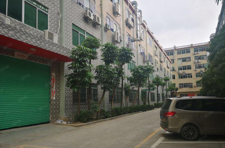 龙华区原房东一楼560平方和1640平方招租，实际面积33元