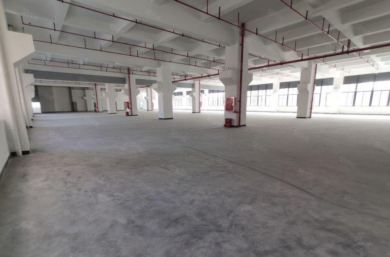 深圳石岩宝安出租原房东独门独院一楼4500平办公仓库厂房分租