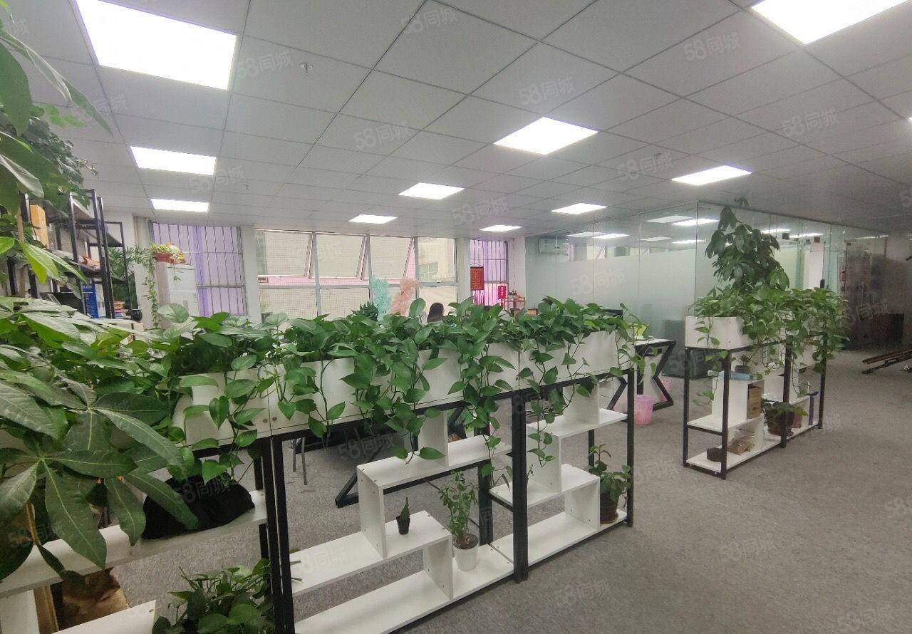 26块一平大浪高新园区带精装修900平厂房领包入驻