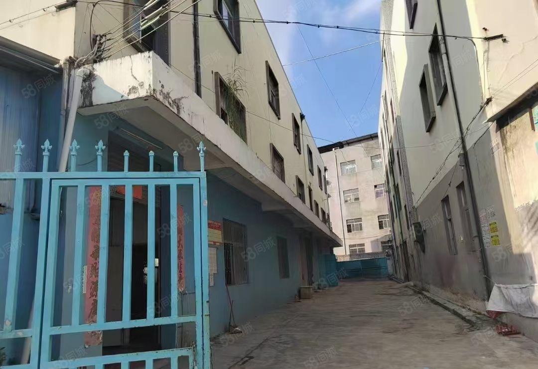 观澜牛湖地铁口旁小独院13层共2450平方全新装修出租