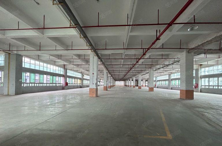 楼上25元深圳北站附近带卸货平台5000平厂房仓库出租可分租