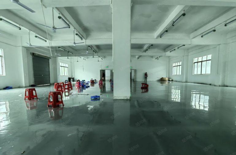 18元起租！龙华观澜樟坑径1000平精装修低价厂房出租可分租