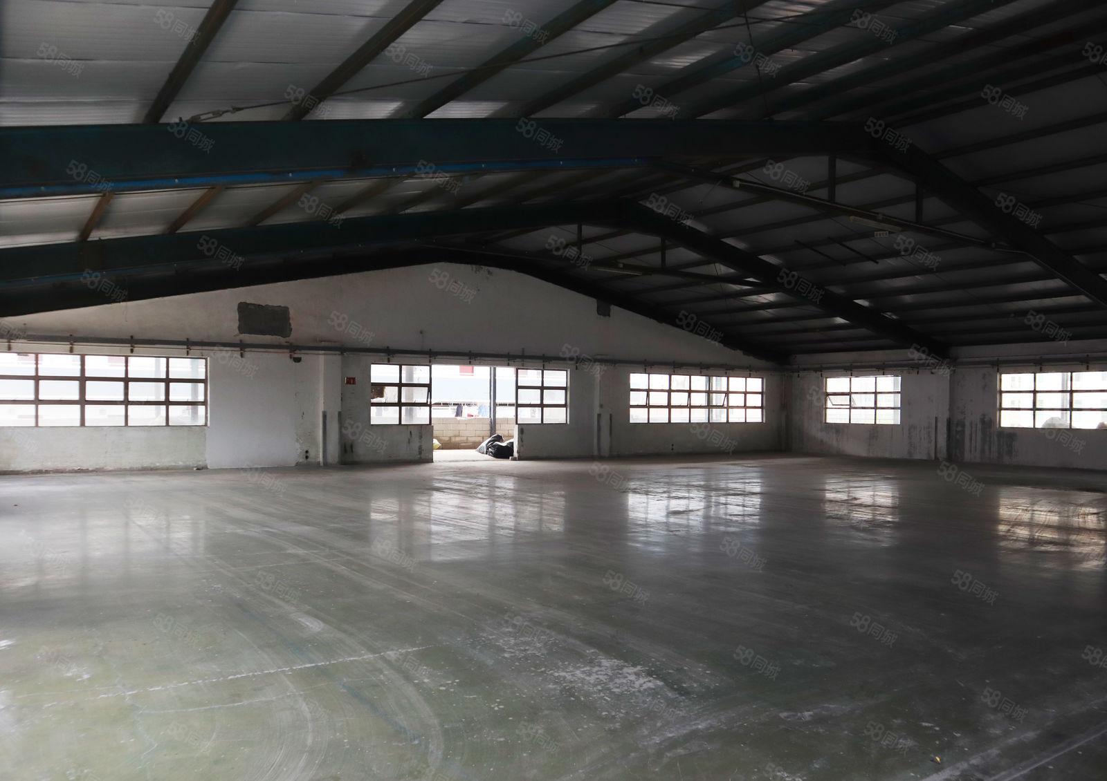 深圳观澜1000平米楼顶钢结构厂房直租，带电梯便宜出租