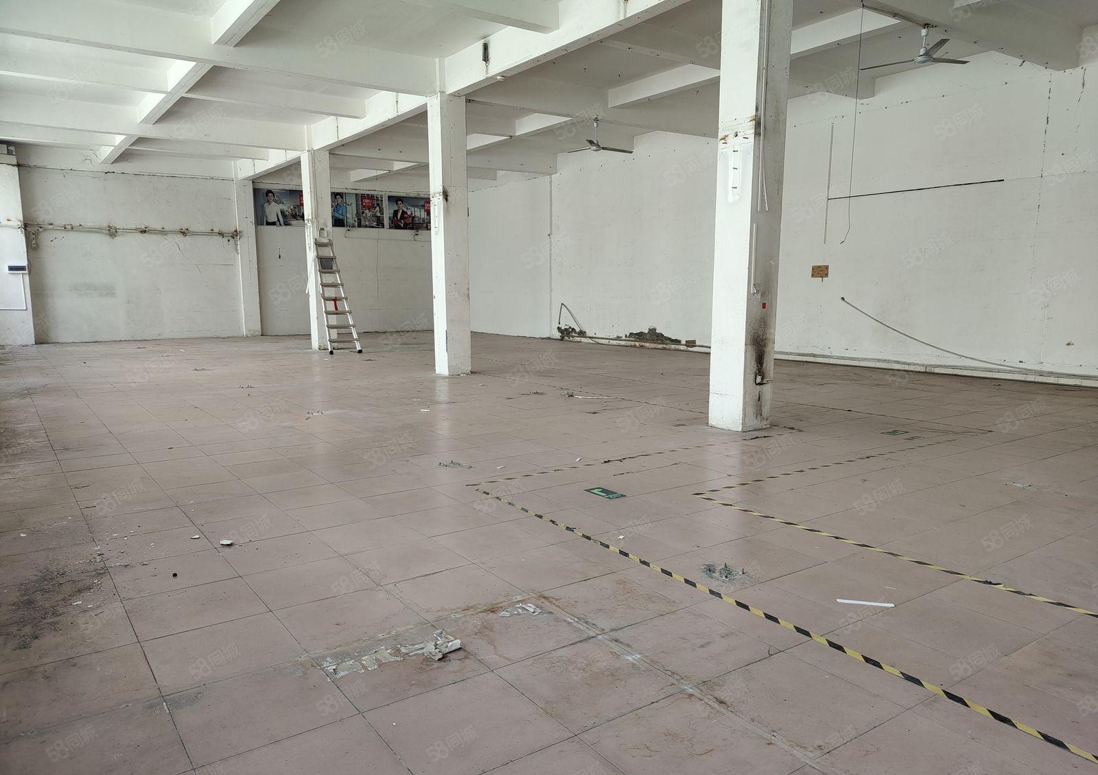 龙华大浪一楼仓库厂房出租，大型园区1000平