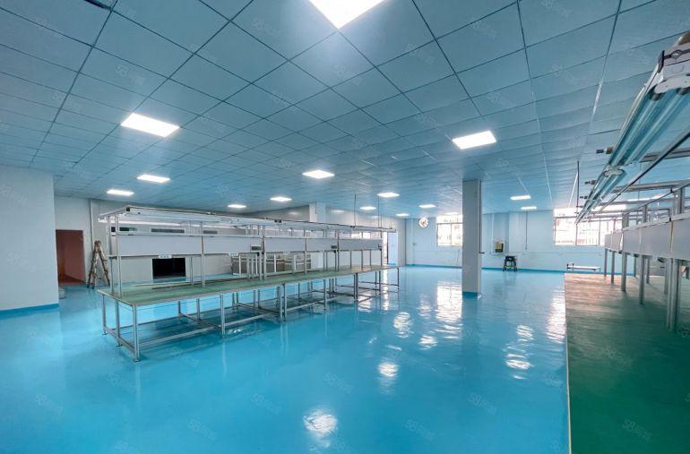 龙华大浪一楼800平精装修无尘车间厂房科技园仓库生产