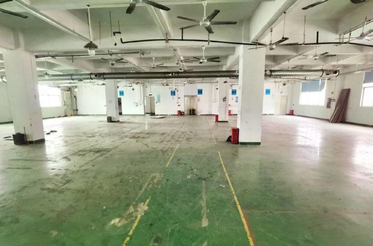 大浪商业中心整栋9000平有宿舍，1500平分租租金25元起