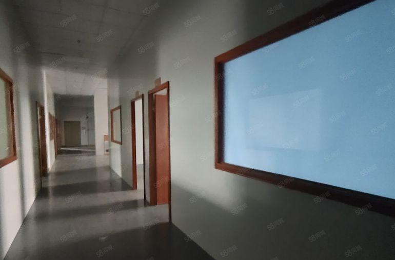 仲恺2000平方精装修厂房出租，可分租