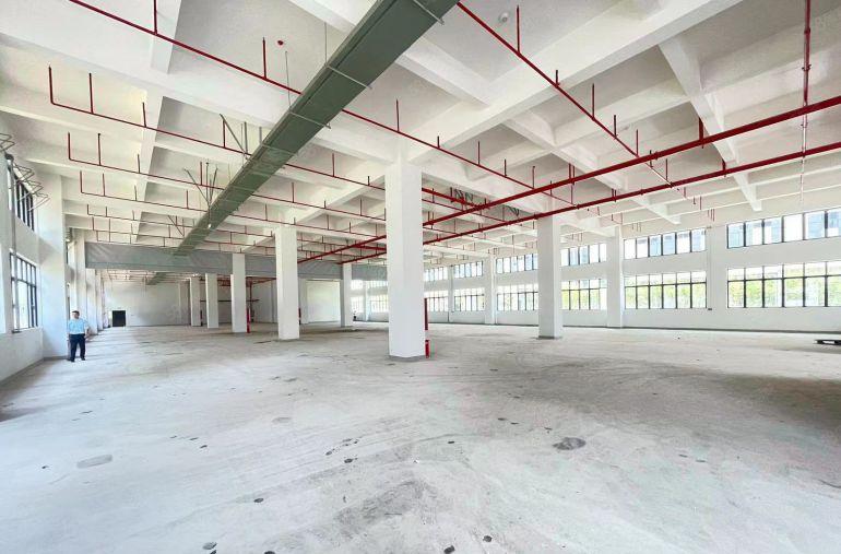 免租半年起仲恺高新区单层2000平开发商厂房实际面积直租
