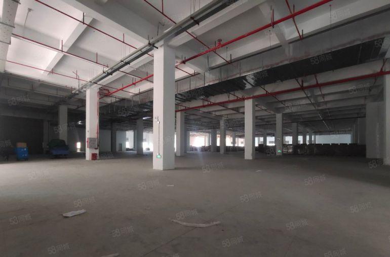 陈江标准厂房单层面积8800原房东出租