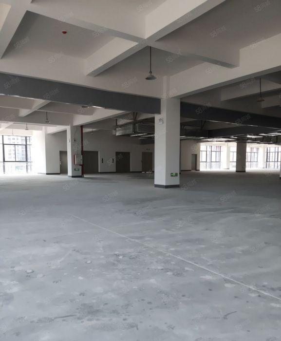 陈江东升工业区园区独院厂房5层12000平方一手房东直租含税